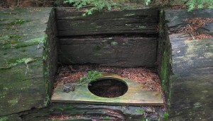 log-toilet